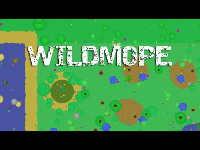 WILDMOPE - LETS PLAY