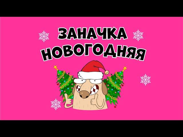 Заначка Новогодняя! Сотки на все случаи жизни