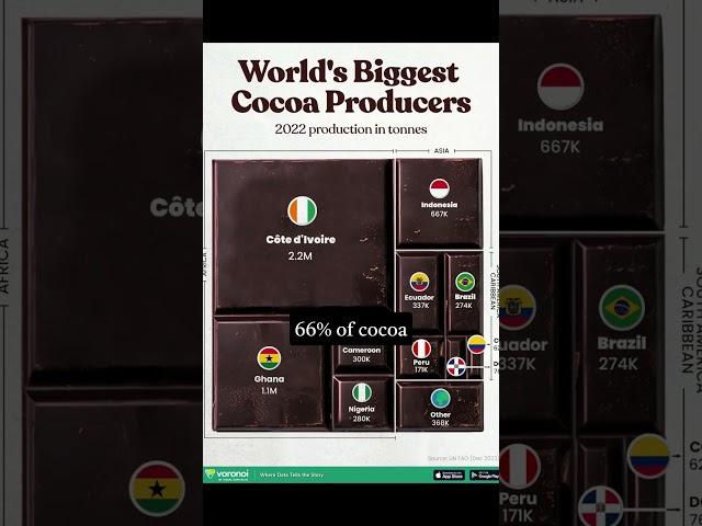 The Chocolate Shortage: Where Does Our Chocolate Come From?