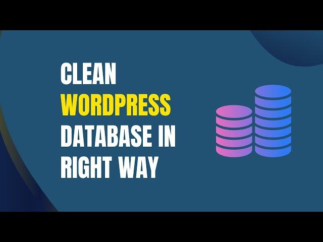 Cleaning up WordPress Database in 2023