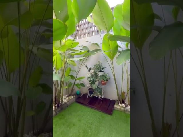 Rumah idaman - Inspirasi taman minimalis untuk rumah dengan lahan dan budget terbatas nih! Kala