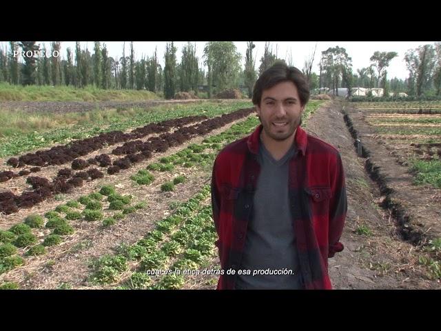 Huertos orgánicos | Revista del Consumidor TV