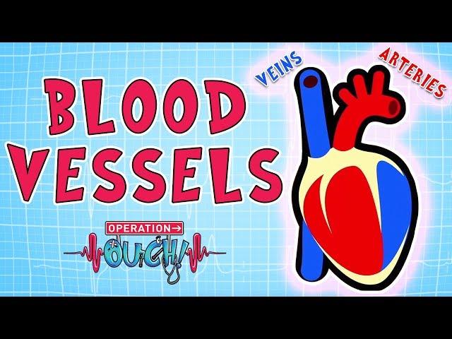 Operation Ouch - Blood Vessels | Science for Kids