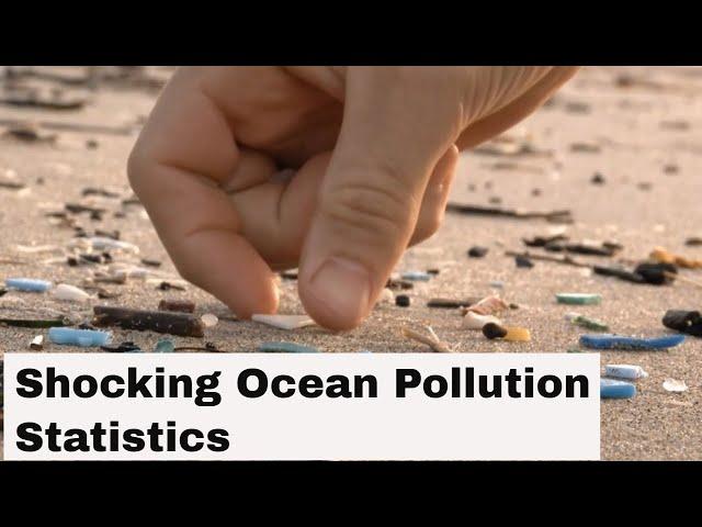 Shocking Ocean Pollution Statistics