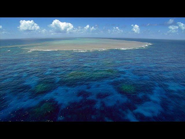 Nature's Microworlds: Great Barrier Reef (Accessible Preview)