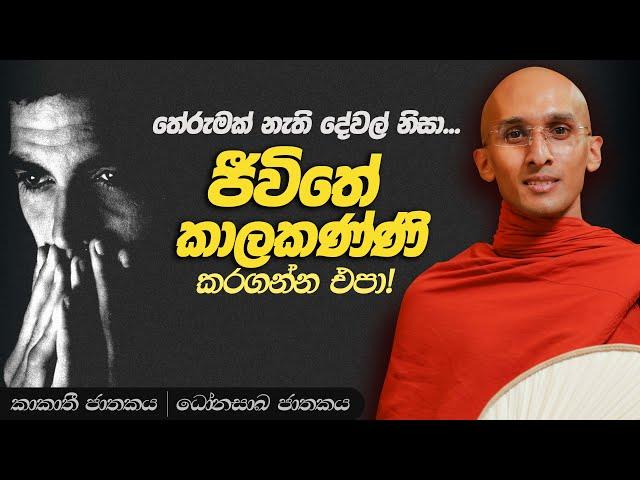 168. ජීවිතේ කාලකණ්ණි කරගන්න එපා! | කාකාතී ජාතකය | ධෝනසාඛ ජාතකය | 2023-11-09