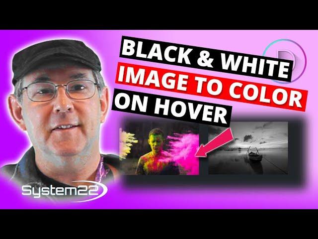 Divi Theme Image Black And White To Color On Hover 