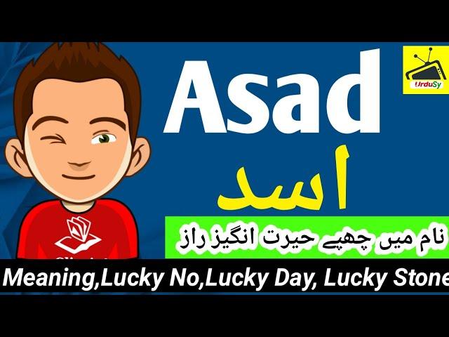 Asad Name Meaning In Urdu | Boy Name اسد |Urdusy