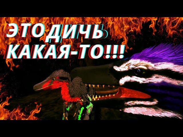 ВЫРАЩИВАЕМ РАПТОРА С ГНЕЗДА Beasts Of Bermuda