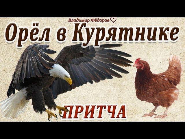 Орёл в Курятнике! Мудрая притча о предназначении человека и его самооценке / Читает Владимир Фёдоров