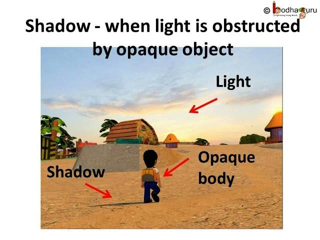 Difference between shadow and reflection