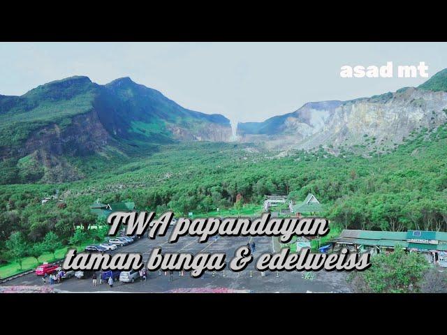 Taman wisata alam papandayan terbaru || TWA papandayan || review taman edelweis || asad mt