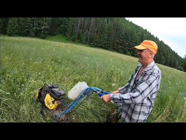 Земляничный рай, начало сенокоса, пирожки от бабы Лизы