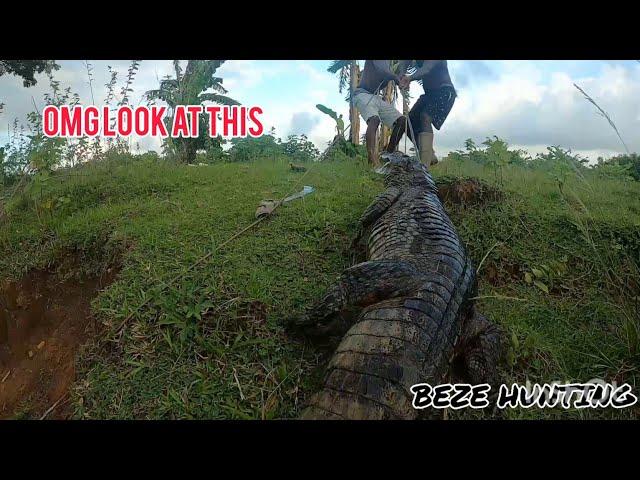 Catch Big Alligator On Hook Line (Beze Hunting)