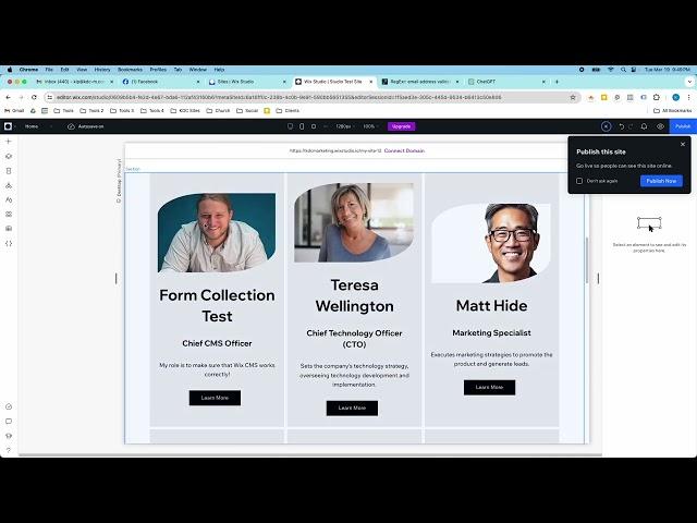 Wix Studio | Wix CMS Input Form Collection Tutorial | Step by Step