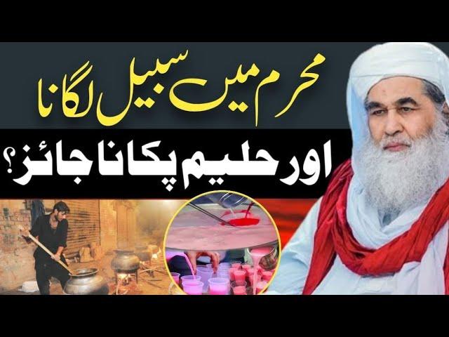 Islamic Question Answer|Muharram Main Sabeel Lgana Aur Haleem Pakana kesa?|Maulana Ilyas Qadri