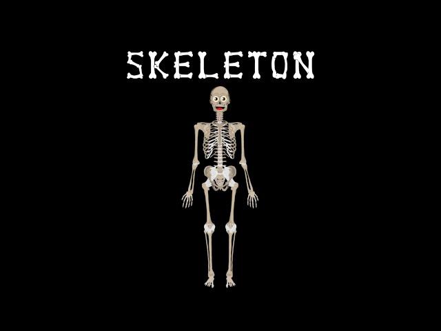 The Bones  Skeletal System Song/Anatomy