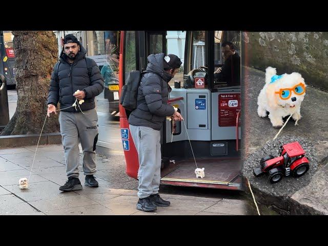 Funny dog in public | sitting on top of strangers | joker pranks latest | strangers reactions