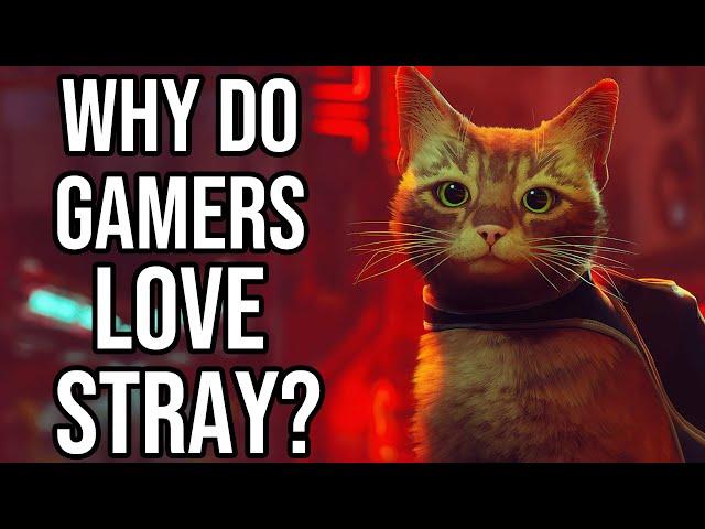 Why Do Gamers LOVE Stray?