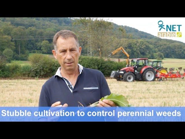 Stubble cultivation to control perennial weeds in organic agriculture (Nov 2016)