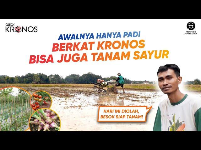 Awalnya Hanya Tanam Padi, Berkat Quick Kronos Bisa Tanam Sayur Juga