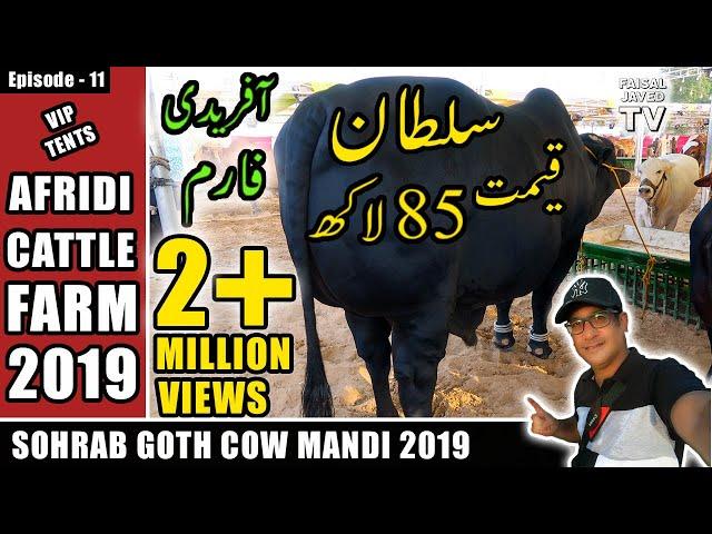 COW MANDI SOHRAB GOTH 2019 KARACHI | AFRIDI Cattle Farm | VIP TENTS | Episode – 11  in URDU HINDI