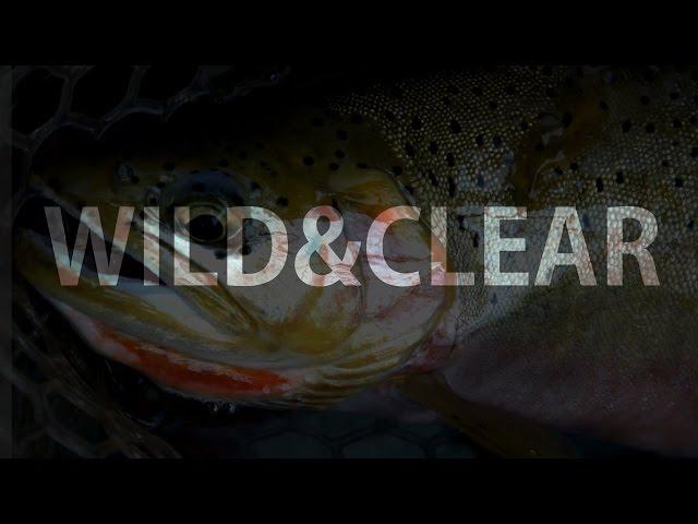 WILD & CLEAR - Fishing Montana's Backcountry