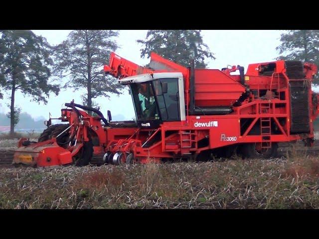 Dewulf RS3060 2 rijige zelfrijdende aardappelrooier