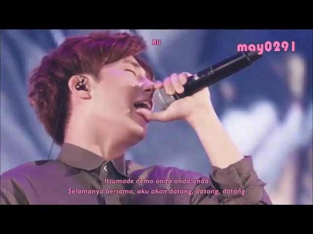 [INDO SUB] INFINITE - She's Back Japanese Ver. (LIVE @Dilemma Concert In Tokyo)