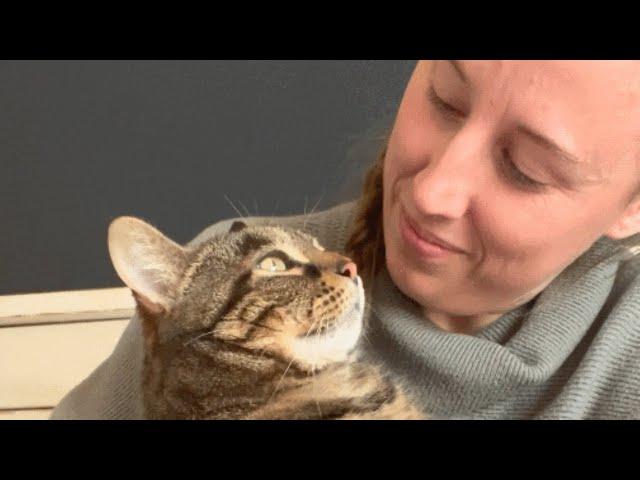 Senior shelter cat desperately hugs woman for adoption