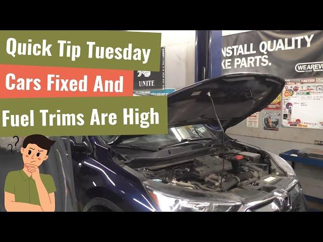 Quick Tip Tuesday - Fuel Trim Troubles