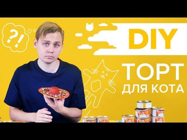 DIY #2: ТОРТ ДЛЯ КОТА