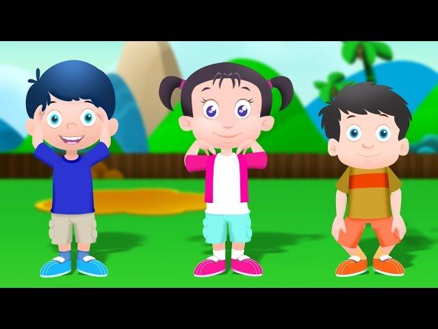 Head Shoulders Knees and Toes | Nursery Rhyme For Kids And Toddlers