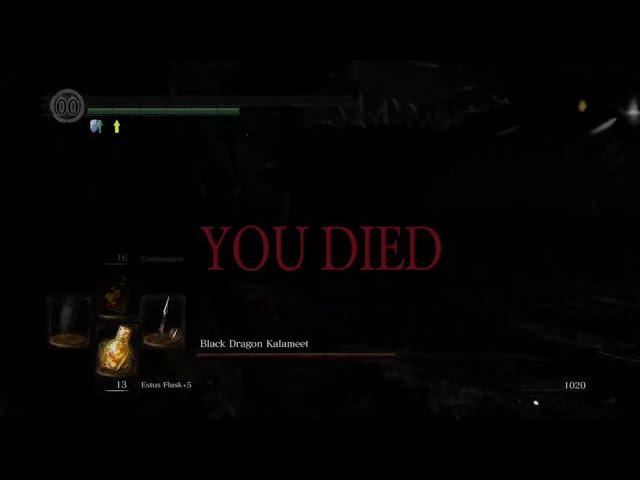 Very Personal "YOU DIED" Screen (Dark Souls: Remastered)