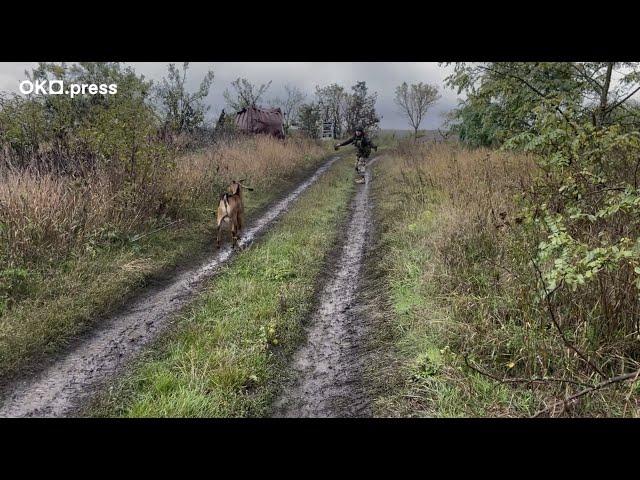 Szwedy. odcinek 4. Pluton 130. Kijowskiego Batalionu Obrony Terytorialnej. Miniserial dokumentalny.