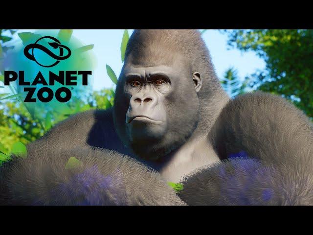 Awesome JUNGLE ZOO  Planet Zoo Cinematic [4K 60FPS]