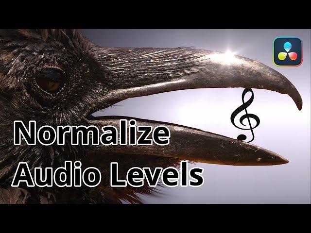 Audio normalisieren  Lautstärke angleichen für bessere Qualität - DaVinci Resolve 17 Tutorial