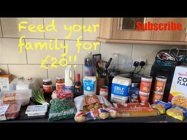 Feed your family for £20 challenge || Aldi extreme grocery budget