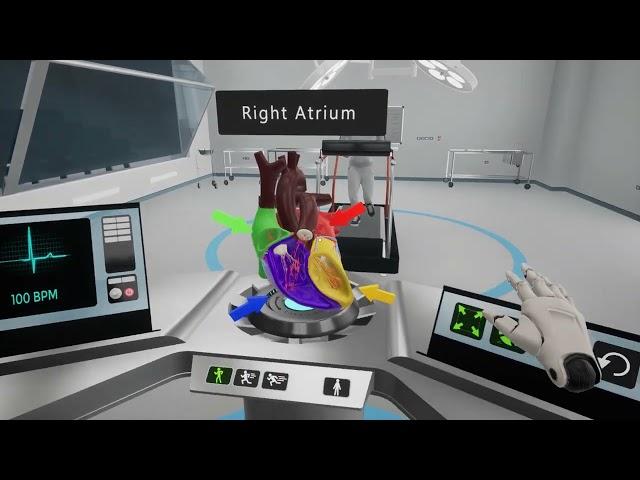 The Human Heart - Free Educational VR Experience