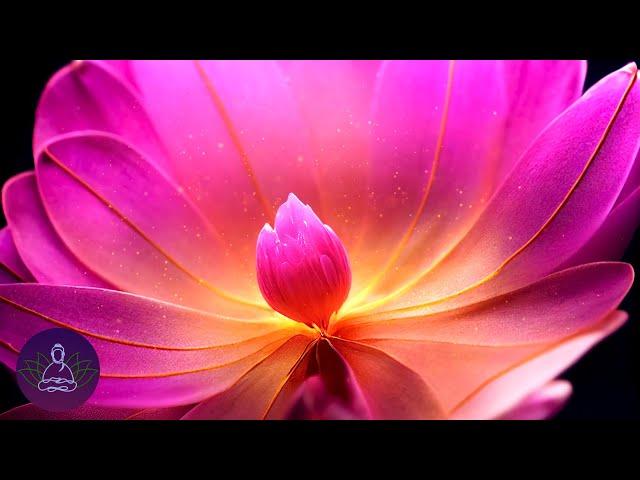 Inner Reflection | 528Hz + 111Hz Self Love, Positive Mind & Soul Healing Frequency Meditation Music