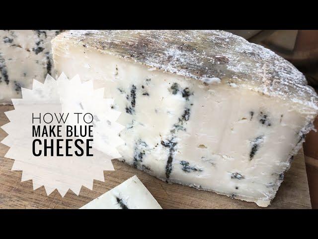 Bleu d'Auvergne Style- How to Make Blue Cheese from Goat Milk