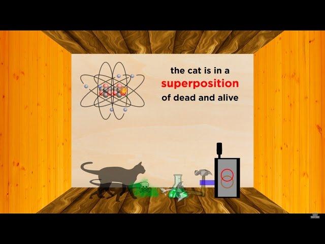 The Heisenberg Uncertainty Principle Part 1: Position/Momentum and Schrödinger's Cat