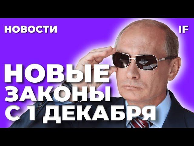 Новые законы с 1 декабря 2023: что изменится в жизни россиян? Цены, штрафы, налоги / Новости