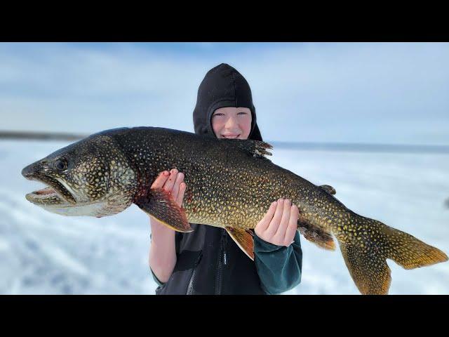 4 Days Fishing & Camping in Alaska - Lake Trout Catch & Cook (Catching Every Fish in Alaska)