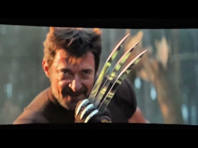 Wolverine vs hulk