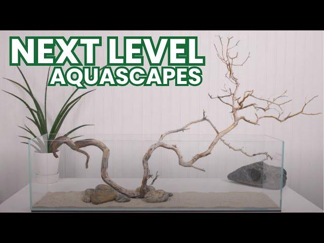 INSPIRING Aquascape Ideas for YOUR Aquarium!