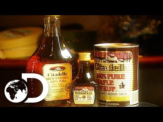 MAPLE SYRUP | How It's Made