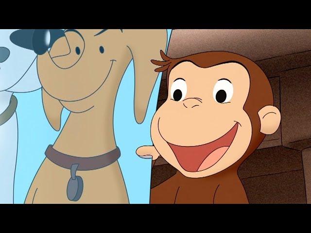 Curious George  Big, Bad Hundley Compilation HD  Cartoons For Children