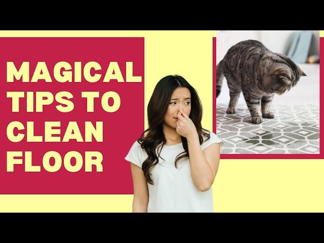 How To Get Cat Urine Smell Out Of Floor??Simple & Quick Tips