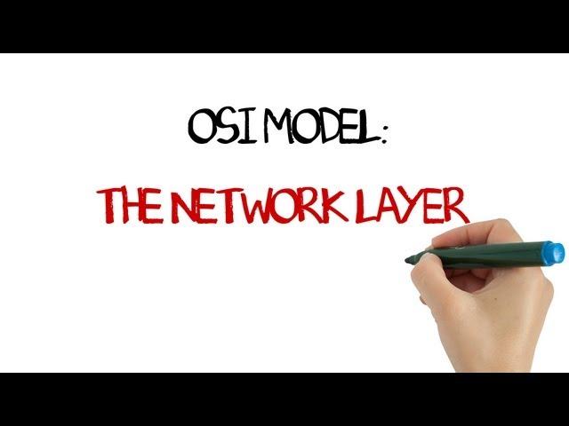 OSI Model: The Network Layer